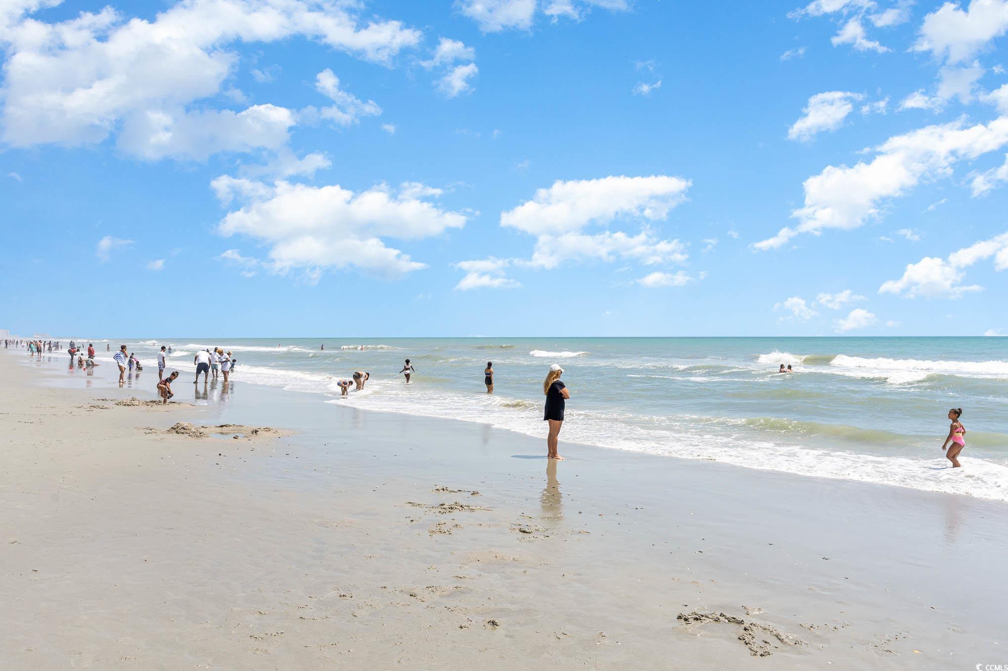 7100 North Ocean Boulevard, Unit 1011 Myrtle Beach, SC 29572 - Photo 22 of 38