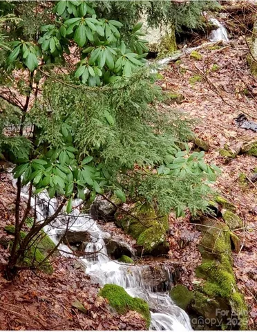 a view of a garden with plants