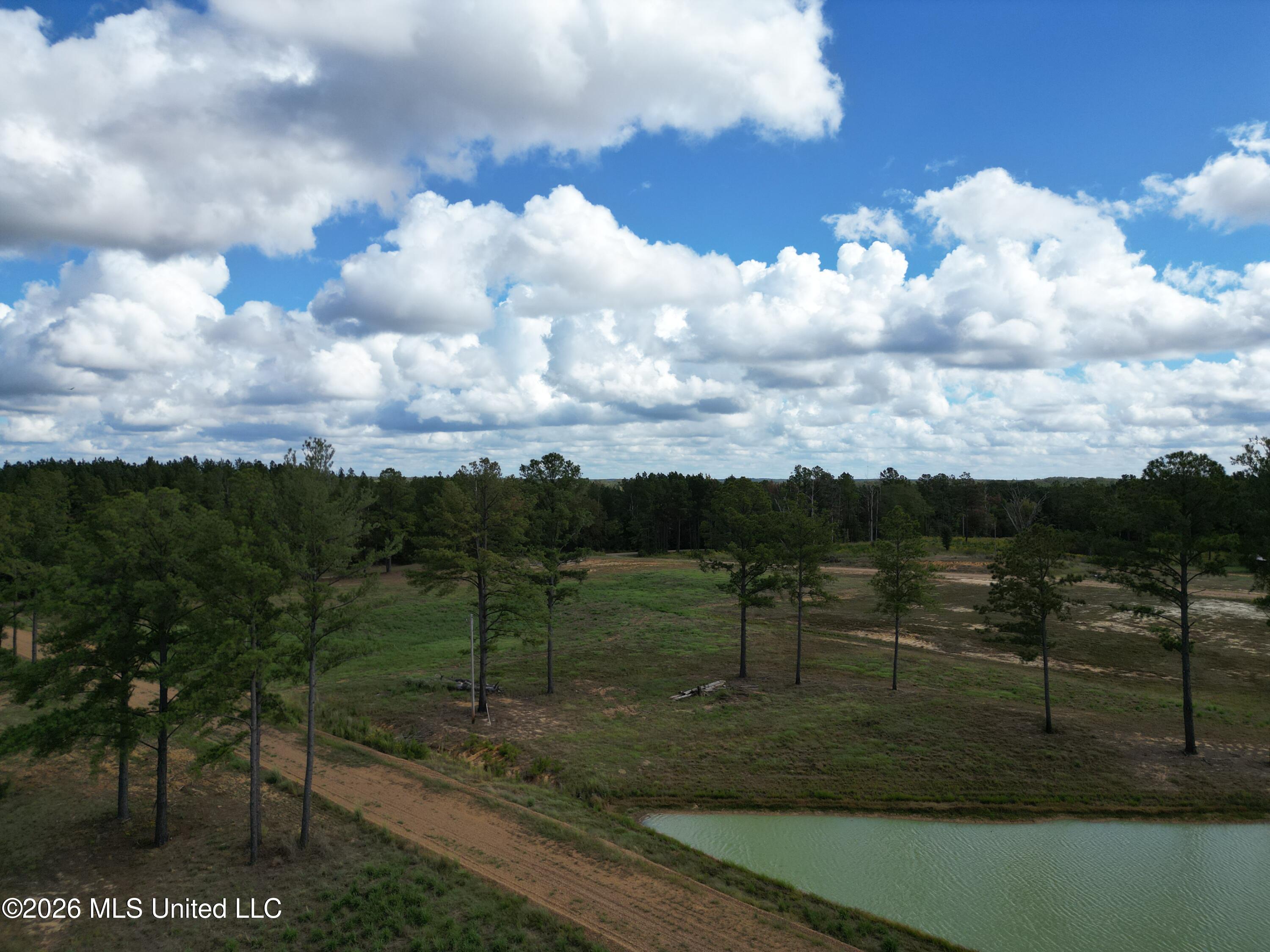 Lot 4 Sulphur Springs Road Canton, MS 39046 - Photo 3 of 14 DJI_0377