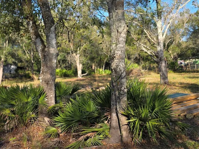 $138,500 | 4816 Southeast Wheat Avenue, Arcadia, FL 34266