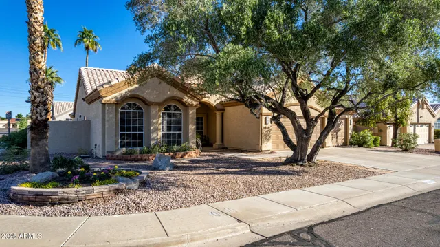 a view of a garden with a slide