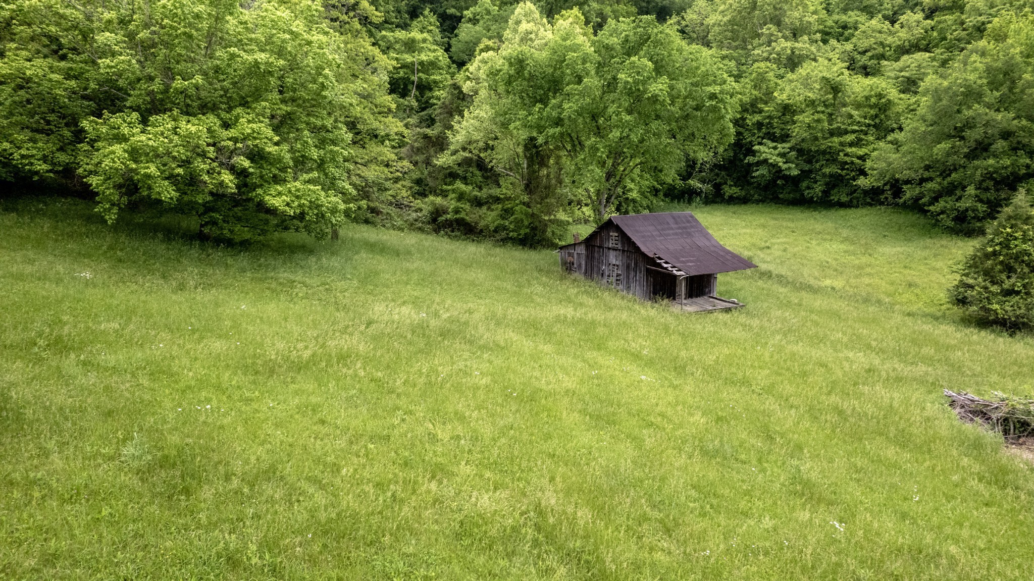 1036 Reed Hollow Road Readyville, TN 37149 - Photo 81 of 88 Gallery Image 81