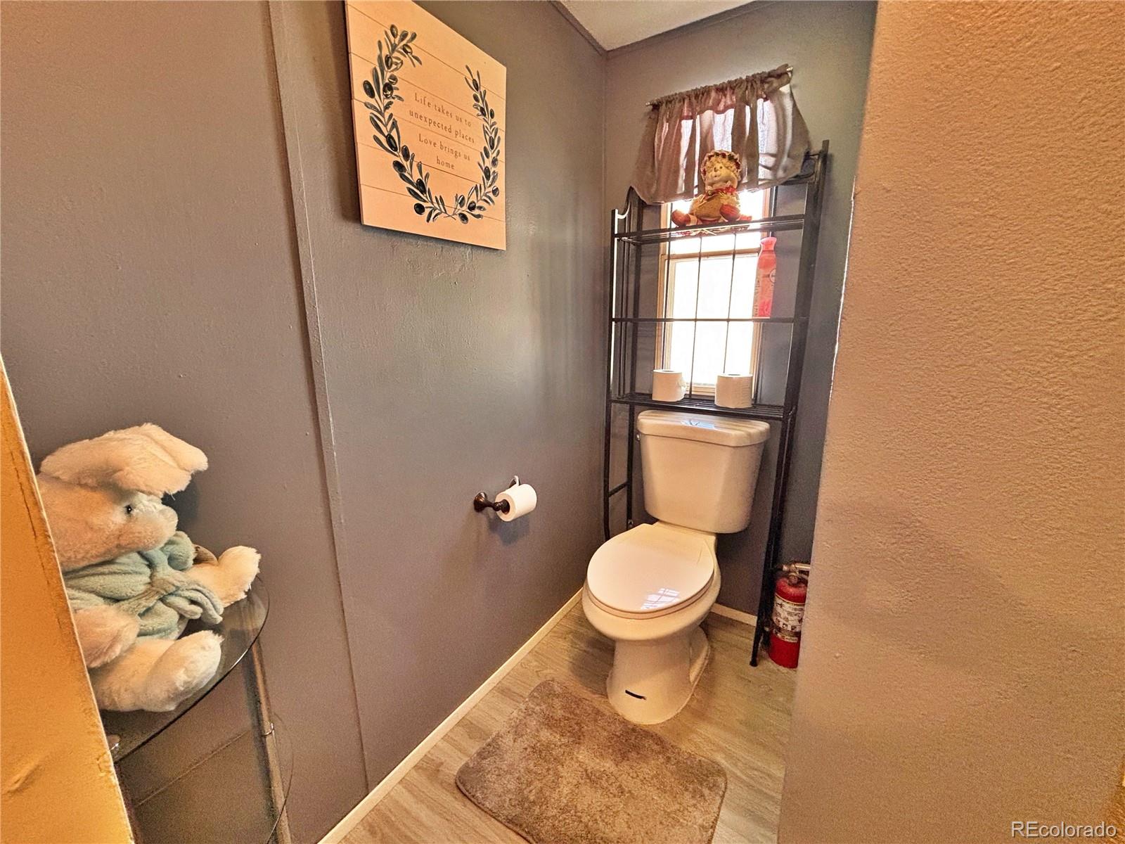 230 North 2nd Street Berthoud, CO 80513 - Photo 32 of 44 a bathroom with a toilet and a mirror