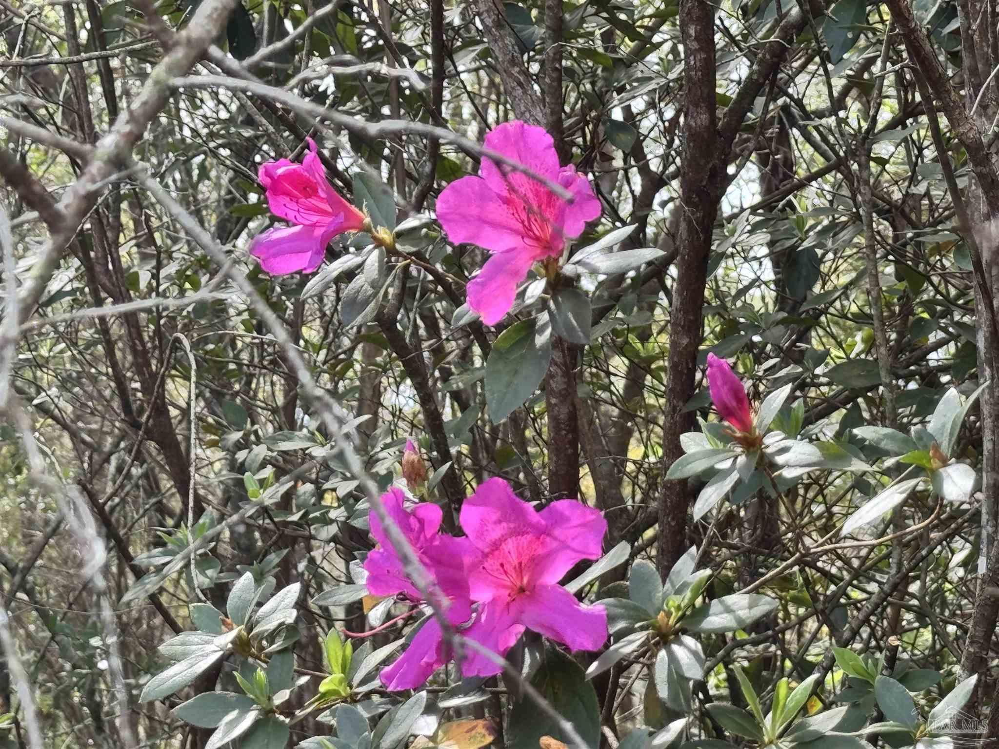 6512 Winston Brown Road Milton, FL 32570 - Photo 27 of 37