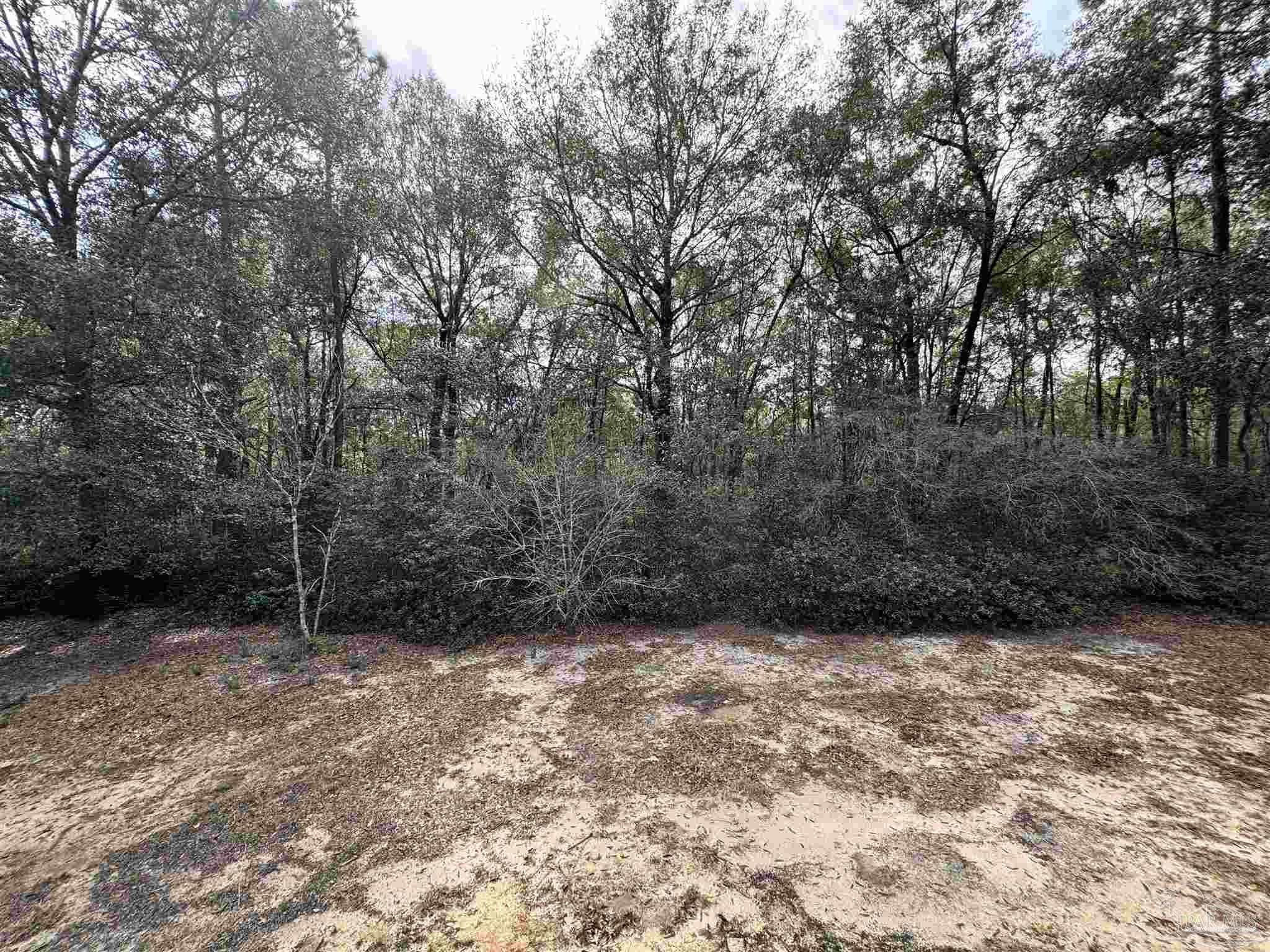 6512 Winston Brown Road Milton, FL 32570 - Photo 30 of 37 a view of a yard with a tree