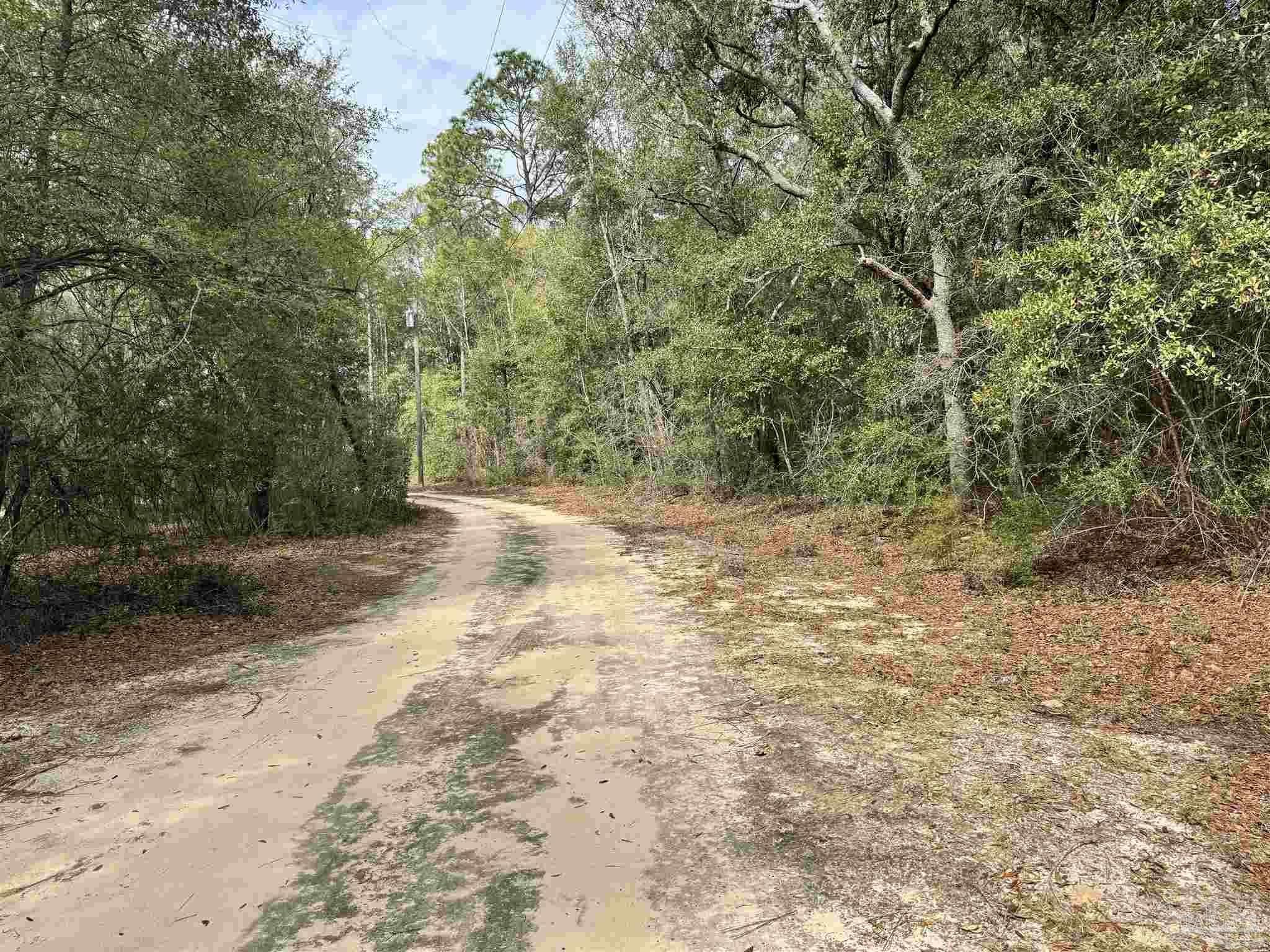 6512 Winston Brown Road Milton, FL 32570 - Photo 35 of 37 a view of backyard with green space