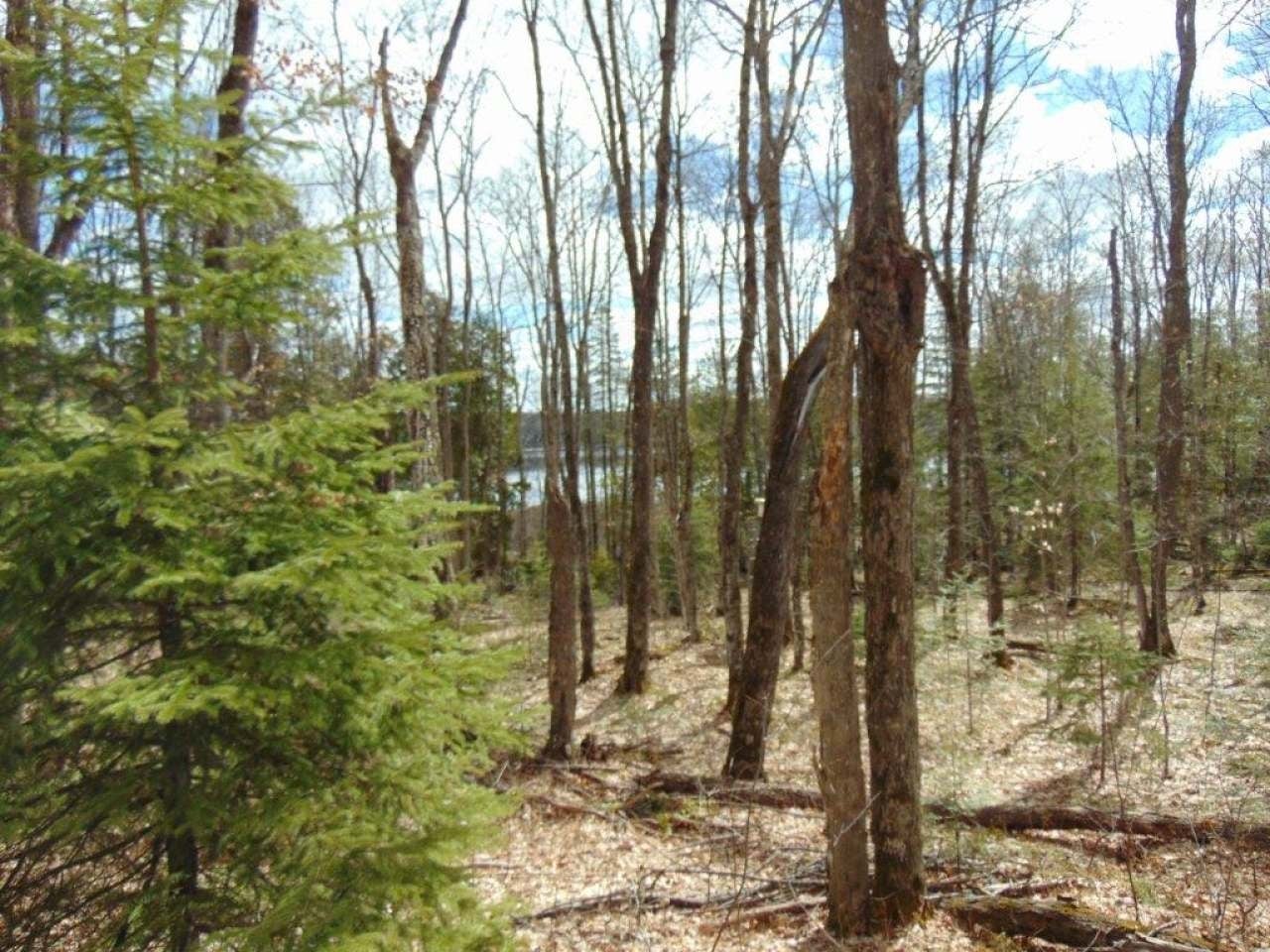 8064 Powderhorn Road Presque Isle, WI 54557 - Photo 19 of 26 Gallery Image 19