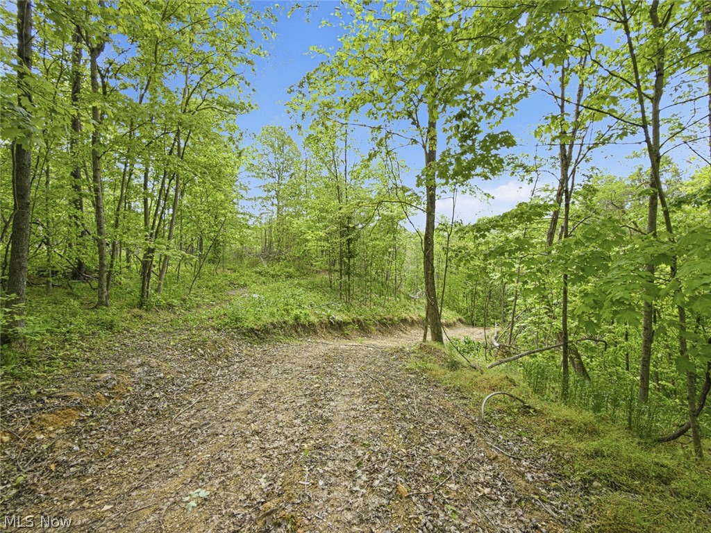 69-acres Newlon Road Malta, OH 43758 - Photo 11 of 20