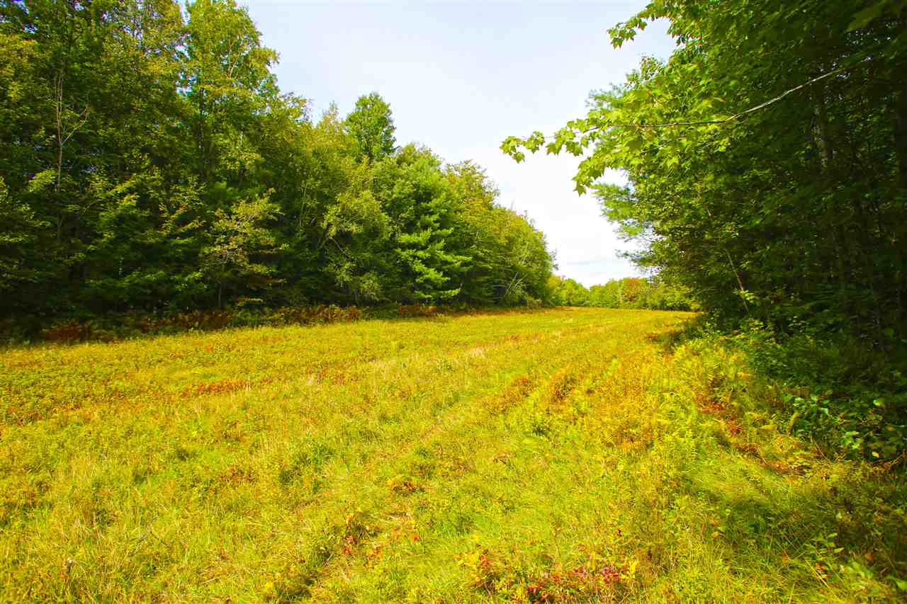 1063 King Road Elmore, VT 05680 - Photo 11 of 40