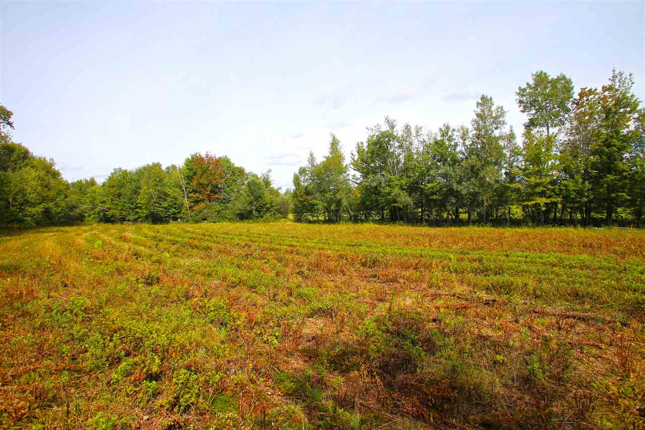 1063 King Road Elmore, VT 05680 - Photo 12 of 40