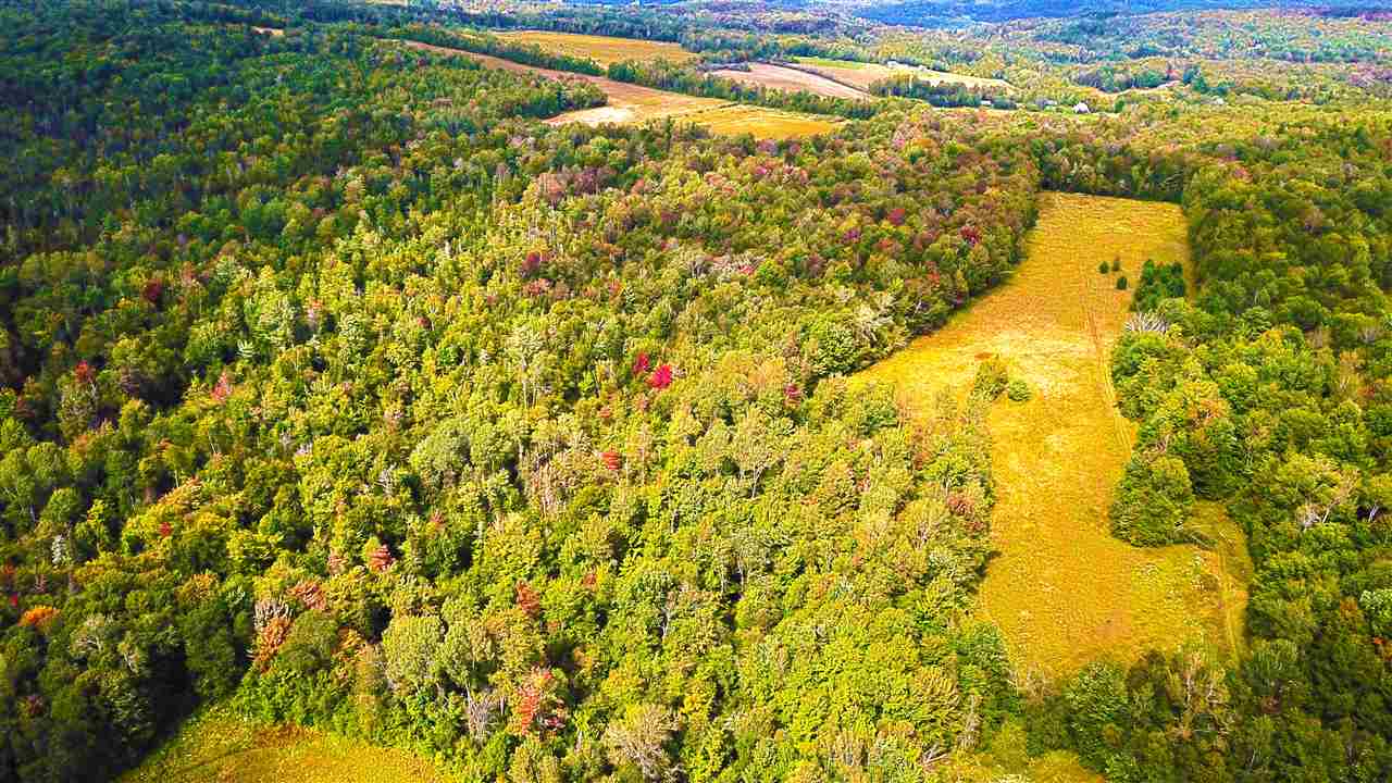 1063 King Road Elmore, VT 05680 - Photo 17 of 40
