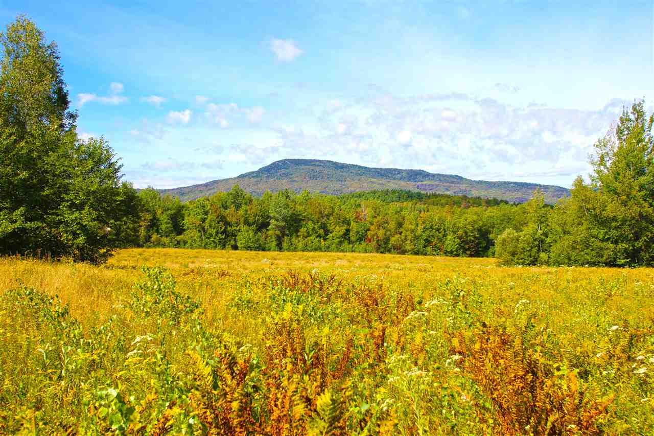 1063 King Road Elmore, VT 05680 - Photo 19 of 40