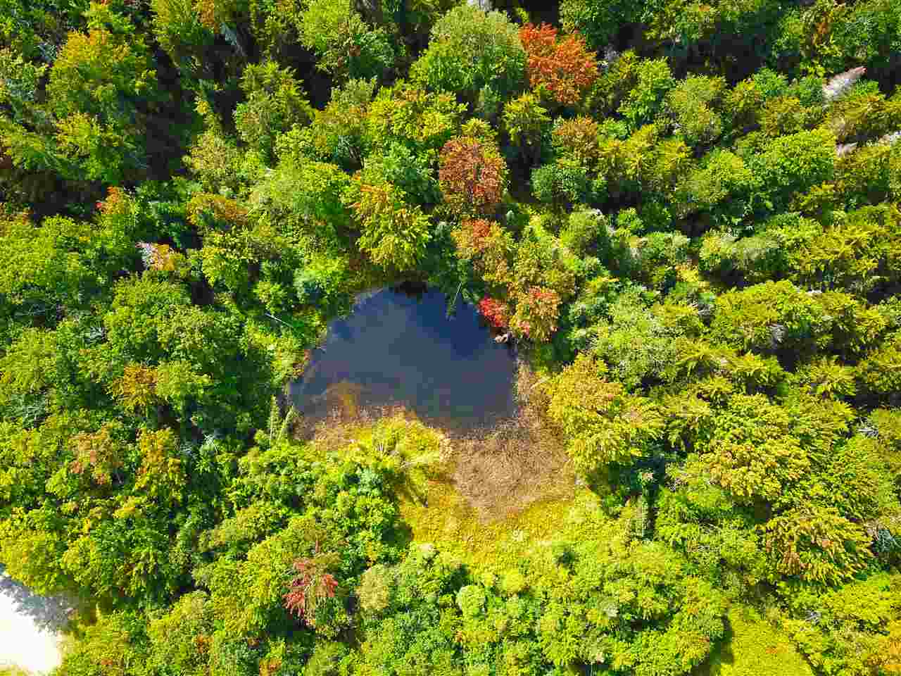 1063 King Road Elmore, VT 05680 - Photo 3 of 40