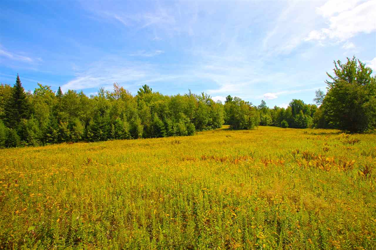 1063 King Road Elmore, VT 05680 - Photo 21 of 40