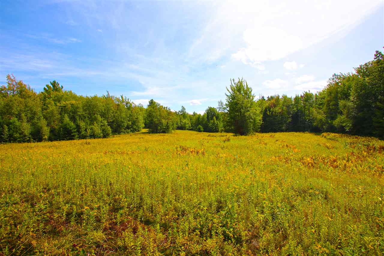 1063 King Road Elmore, VT 05680 - Photo 22 of 40