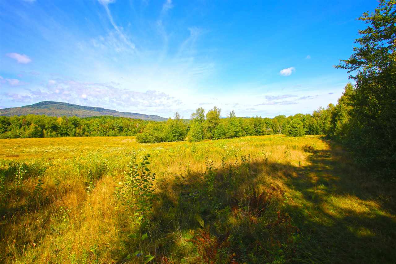 1063 King Road Elmore, VT 05680 - Photo 23 of 40