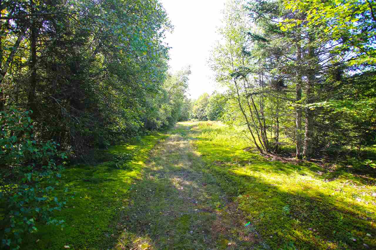 1063 King Road Elmore, VT 05680 - Photo 28 of 40