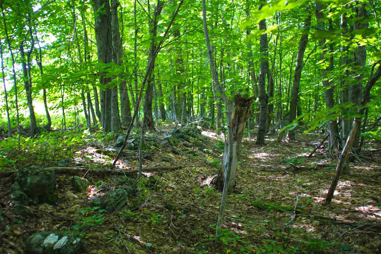 1063 King Road Elmore, VT 05680 - Photo 30 of 40