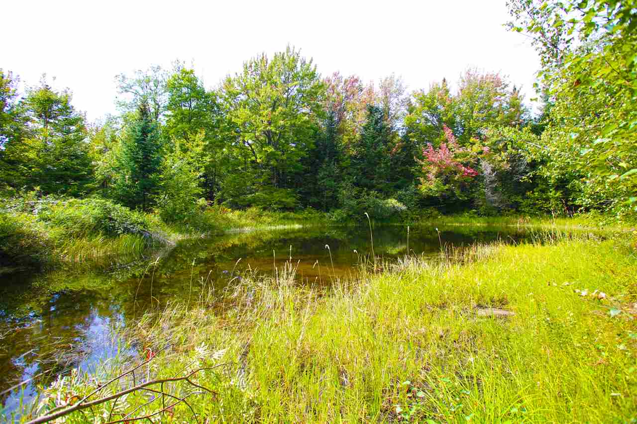 1063 King Road Elmore, VT 05680 - Photo 31 of 40
