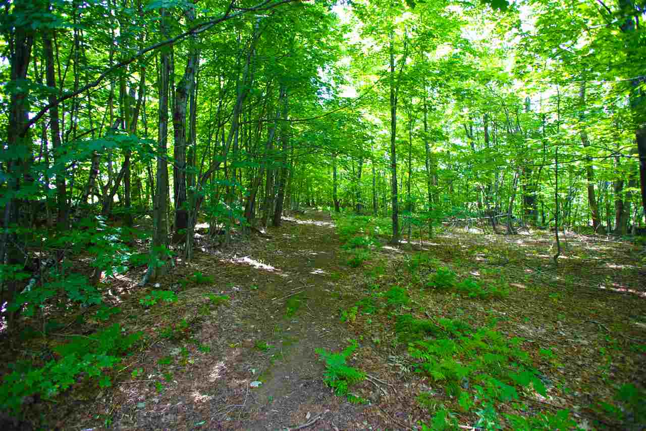 1063 King Road Elmore, VT 05680 - Photo 33 of 40