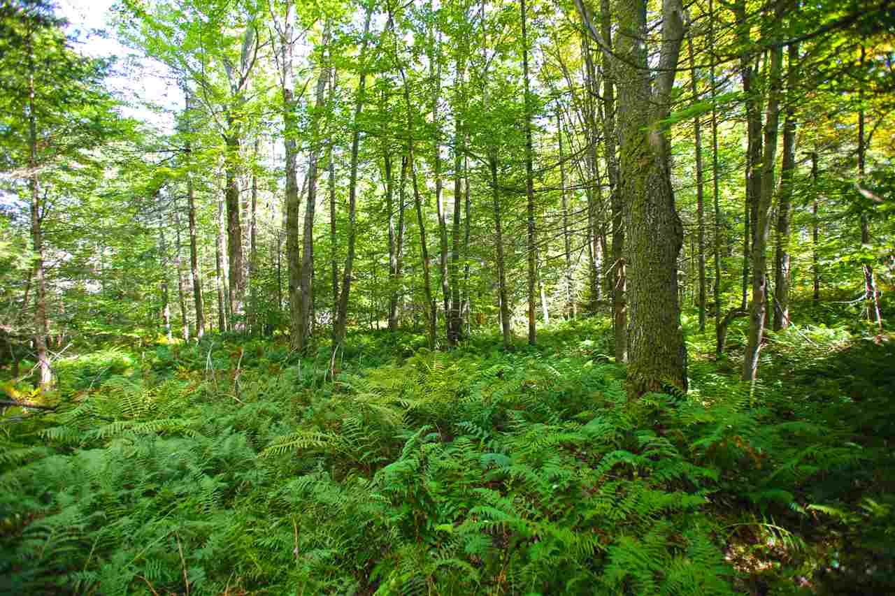 1063 King Road Elmore, VT 05680 - Photo 35 of 40