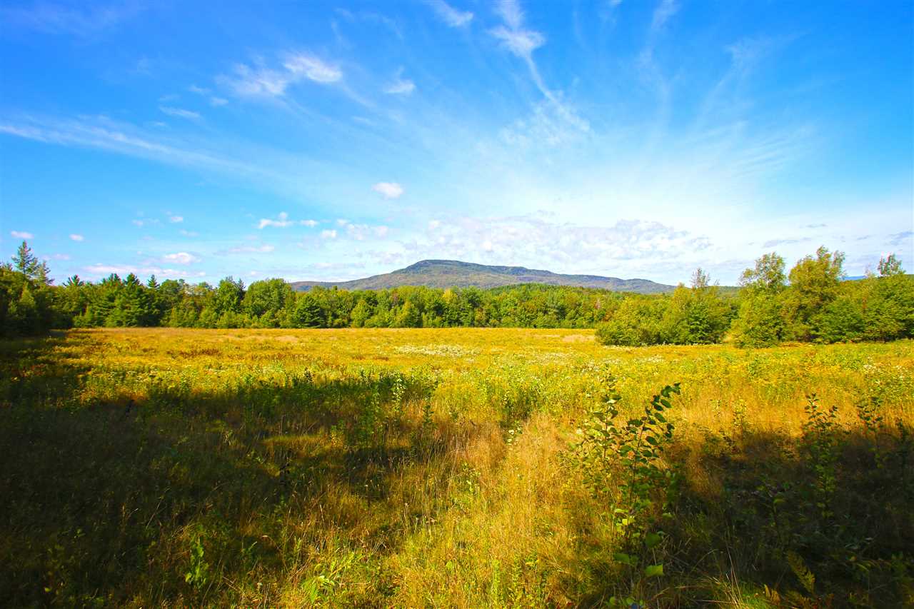 1063 King Road Elmore, VT 05680 - Photo 5 of 40