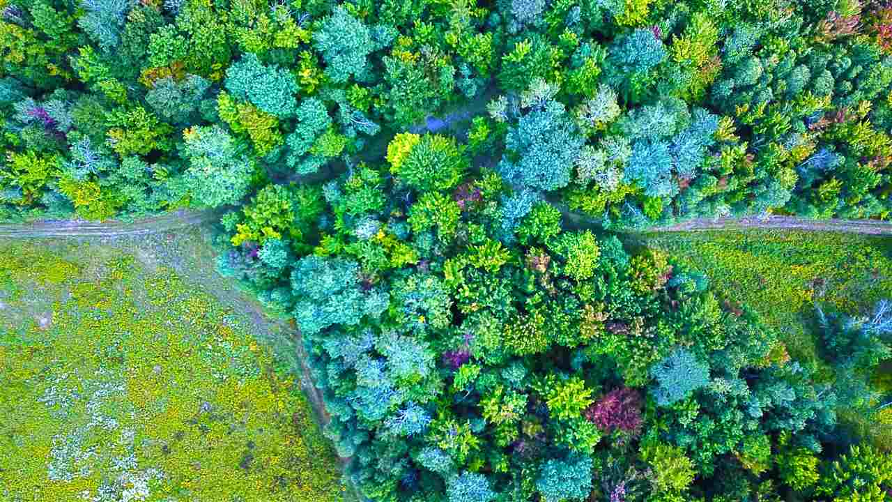 1063 King Road Elmore, VT 05680 - Photo 7 of 40