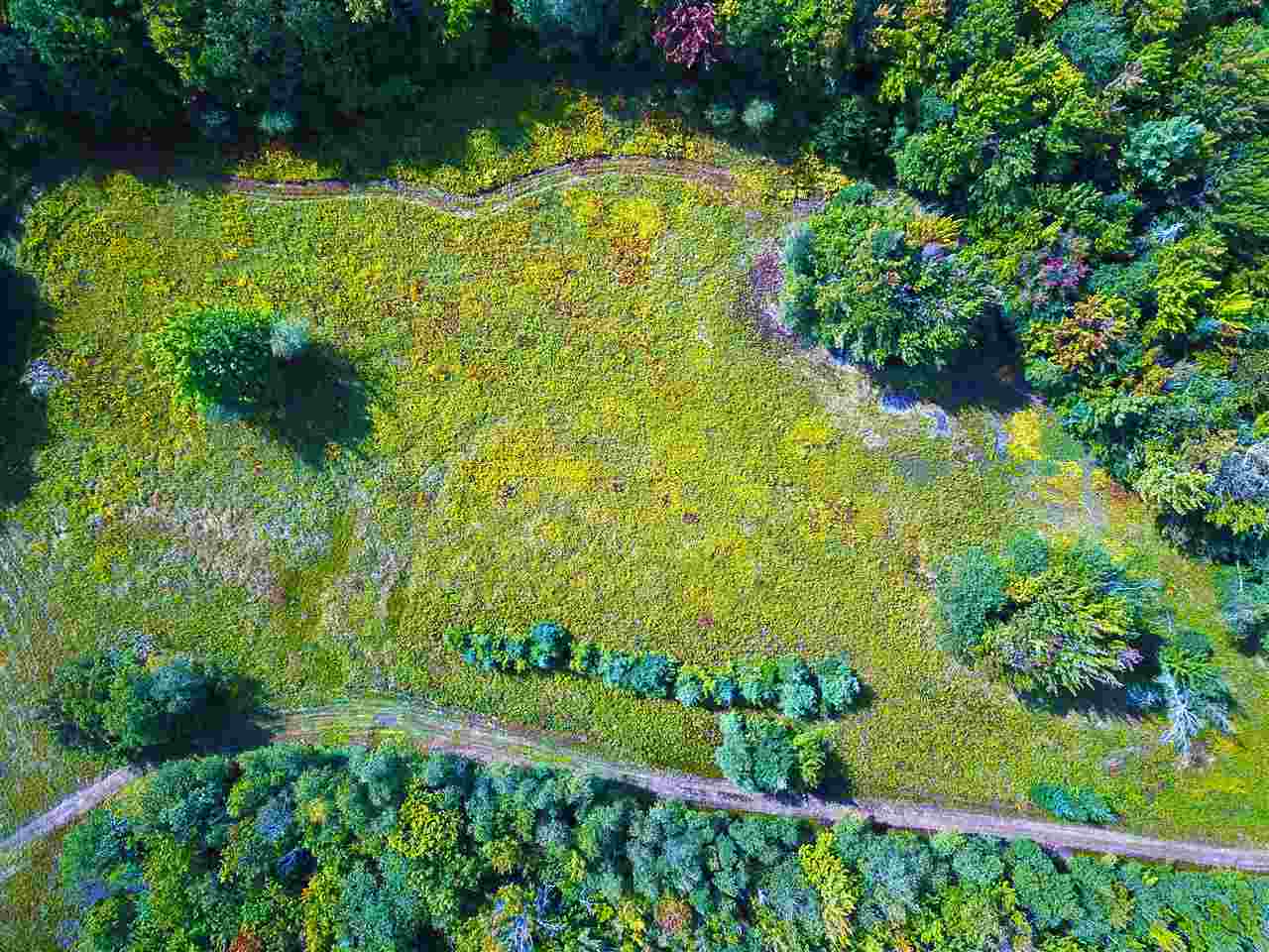 1063 King Road Elmore, VT 05680 - Photo 8 of 40