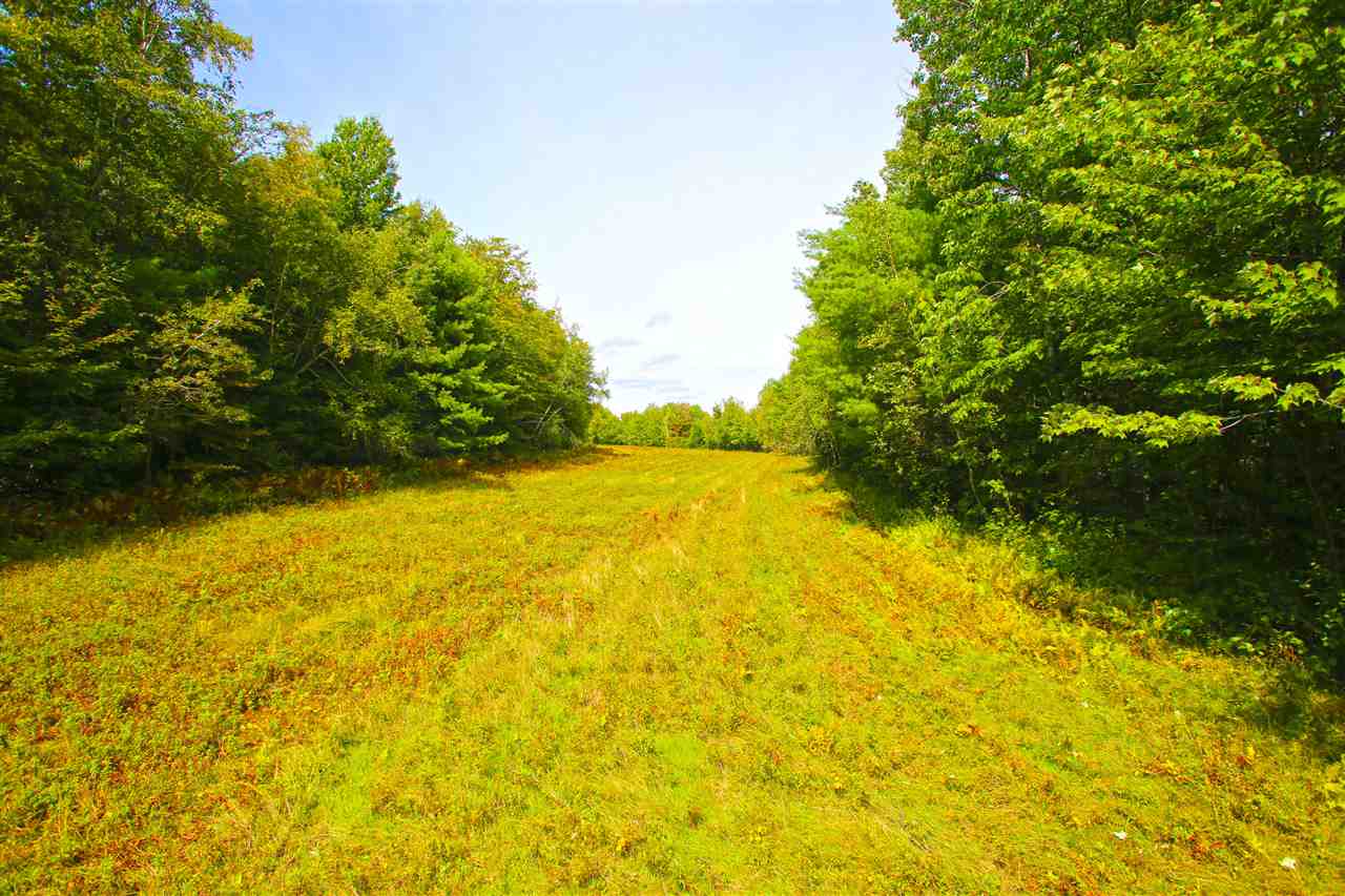 1063 King Road Elmore, VT 05680 - Photo 10 of 40