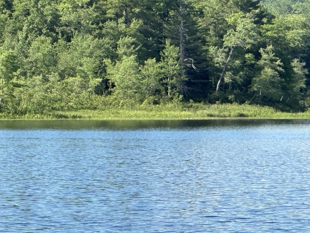 18 Solace Pointe Road Meredith, NH 03253 - Photo 28 of 33