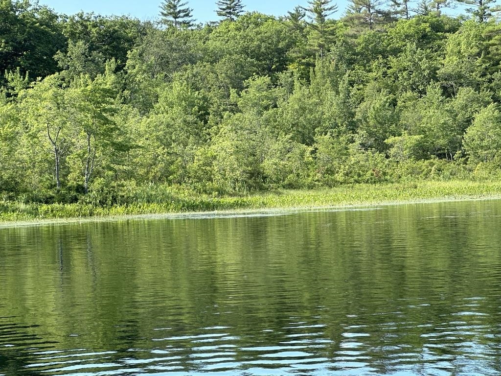 18 Solace Pointe Road Meredith, NH 03253 - Photo 29 of 33