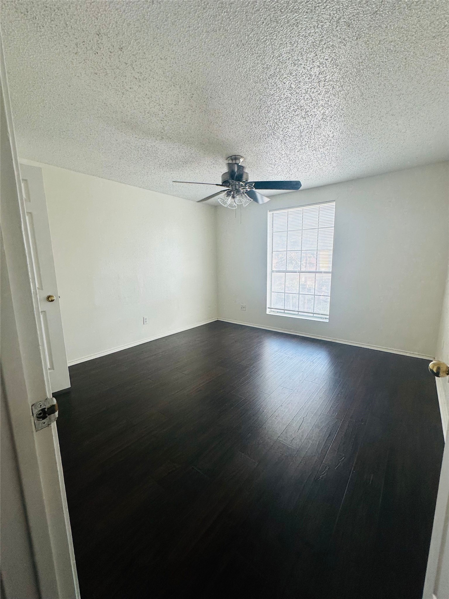 2401 Leon Street, Unit 307 Austin, TX 78705 - Photo 13 of 25 an empty room with wooden floor fan and windows