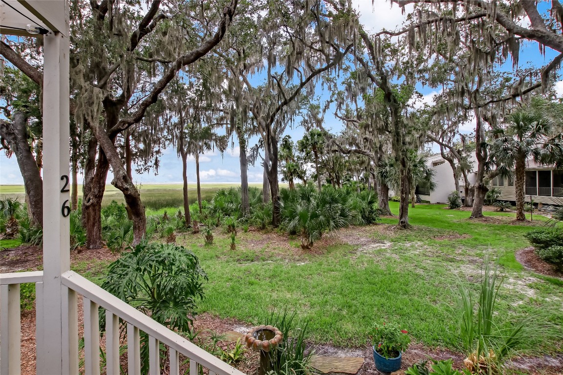 3426 Sea Marsh Road Fernandina Beach, FL 32034 - Photo 34 of 65 a view of a backyard with large trees