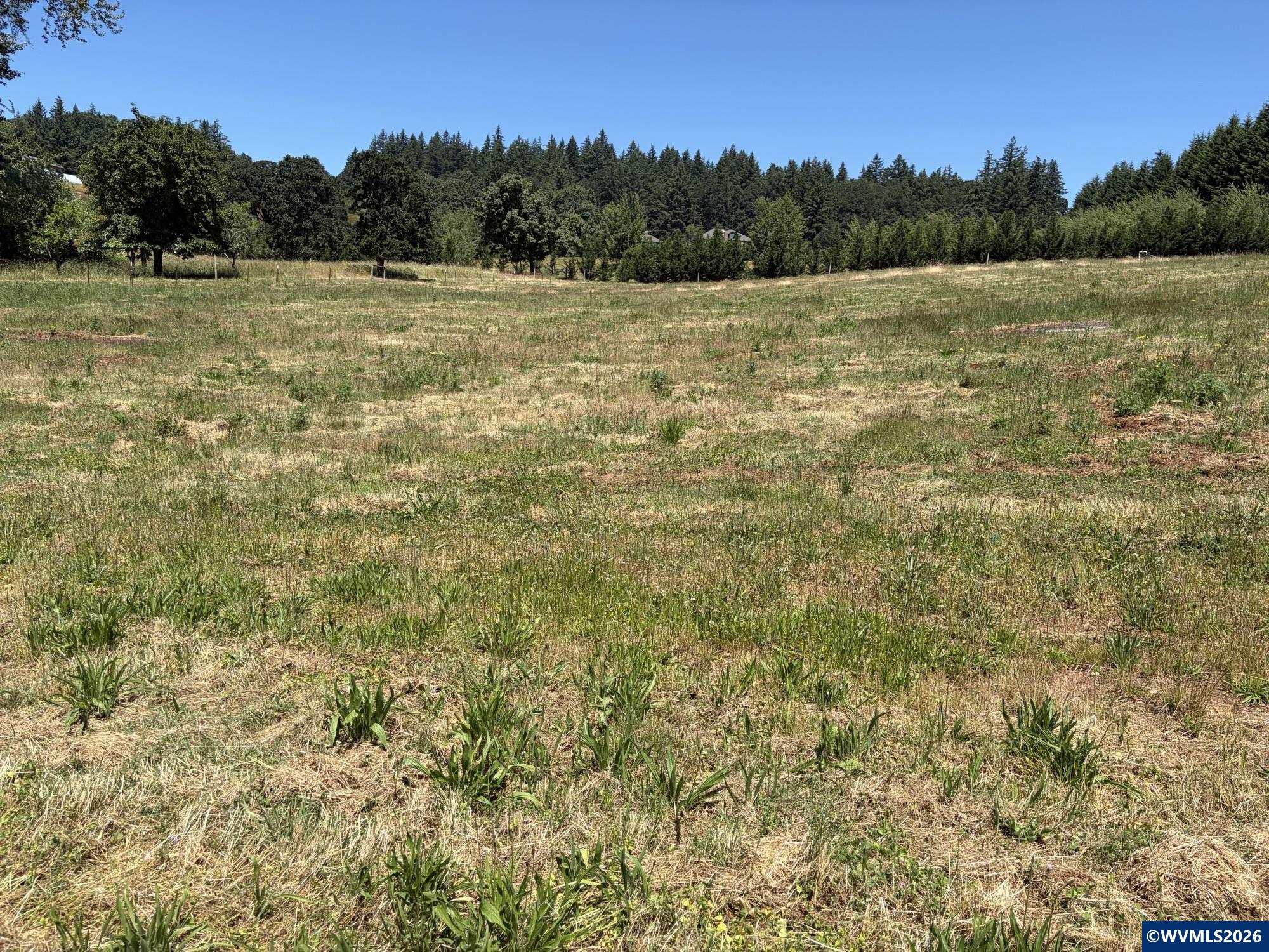 3731 Vitae Springs Road South Salem, OR 97302 - Photo 6 of 6