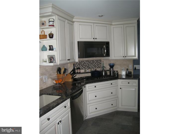 220 Old Forest Road Wynnewood, PA 19096 - Photo 3 of 17 Kitchen