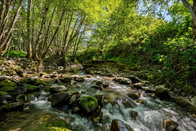 a view of backyard with green space