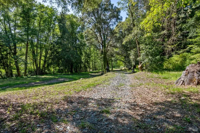 a backyard of a house with lots of plants and large trees