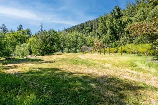 a view of yard with green space