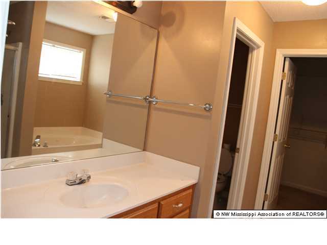 393 Timber Way South Hernando, MS 38632 - Photo 13 of 19 Additional Photo