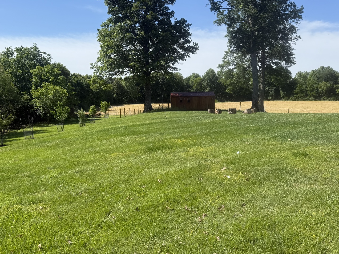 5012 Rosebud Road Metropolis, IL 62960 - Photo 15 of 44 a view of a park with trees in the background