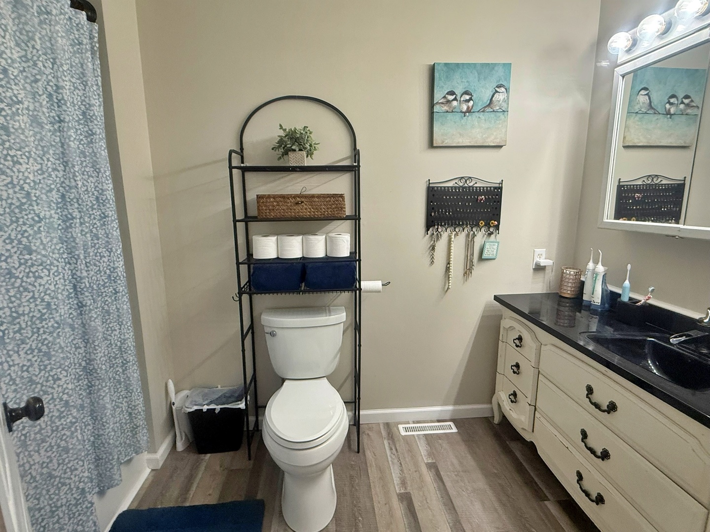 5012 Rosebud Road Metropolis, IL 62960 - Photo 33 of 44 a bathroom with a toilet sink and mirror