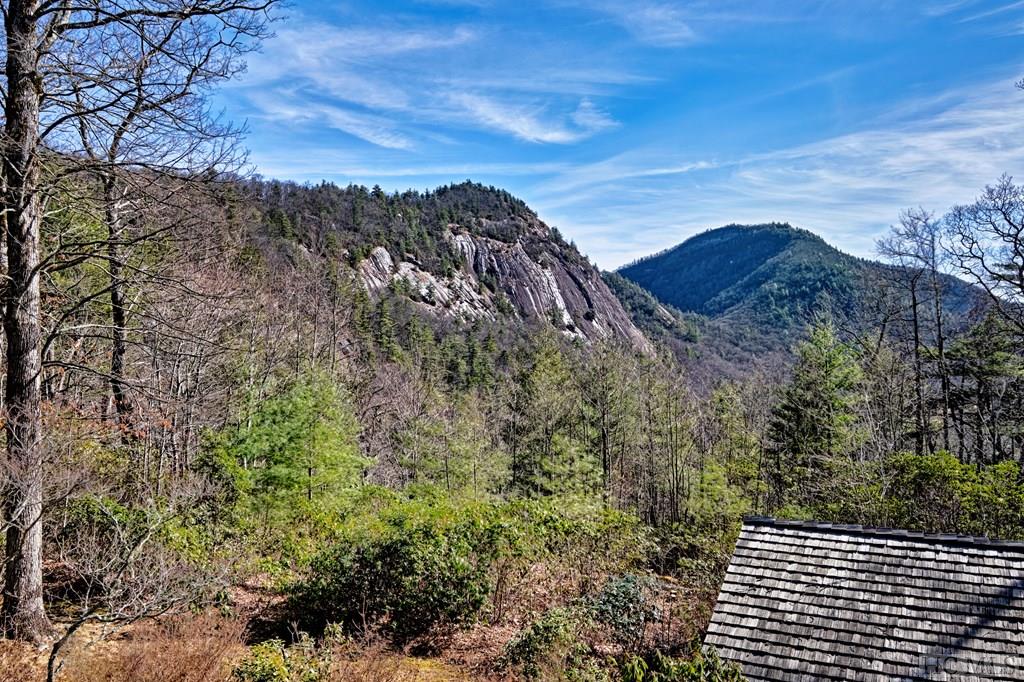 690 Halsted Road Cashiers, NC 28717 - Photo 2 of 62 Gallery Image 2