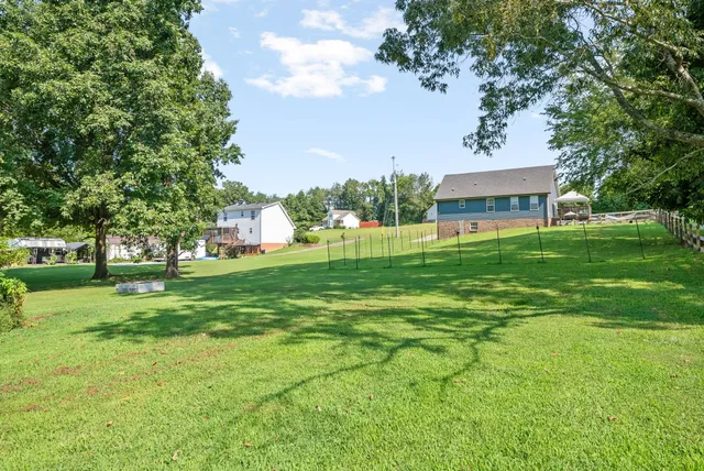 a view of a park with large trees