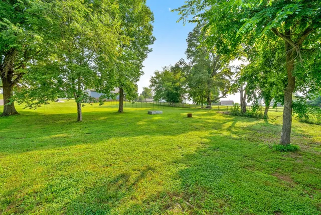 a view of park with trees