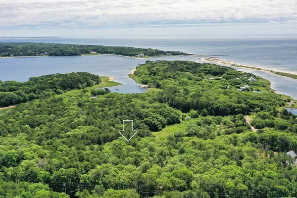 a view of a field with an ocean