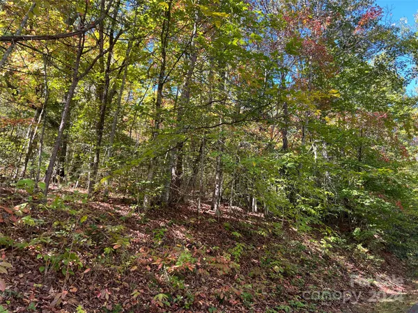$40,000 | 441 None S Sylva Nc 28779 None South, Unit NONE, Sylva, NC 28779