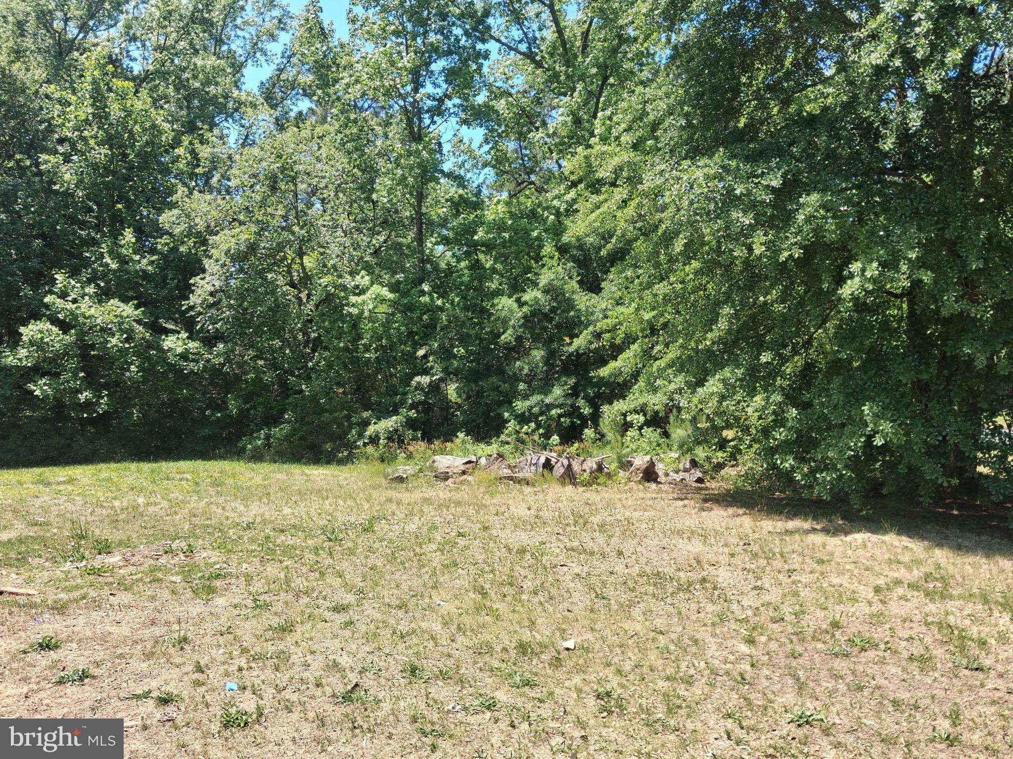 8381 Hurleys Neck Road Mardela Springs, MD 21837 - Photo 5 of 5