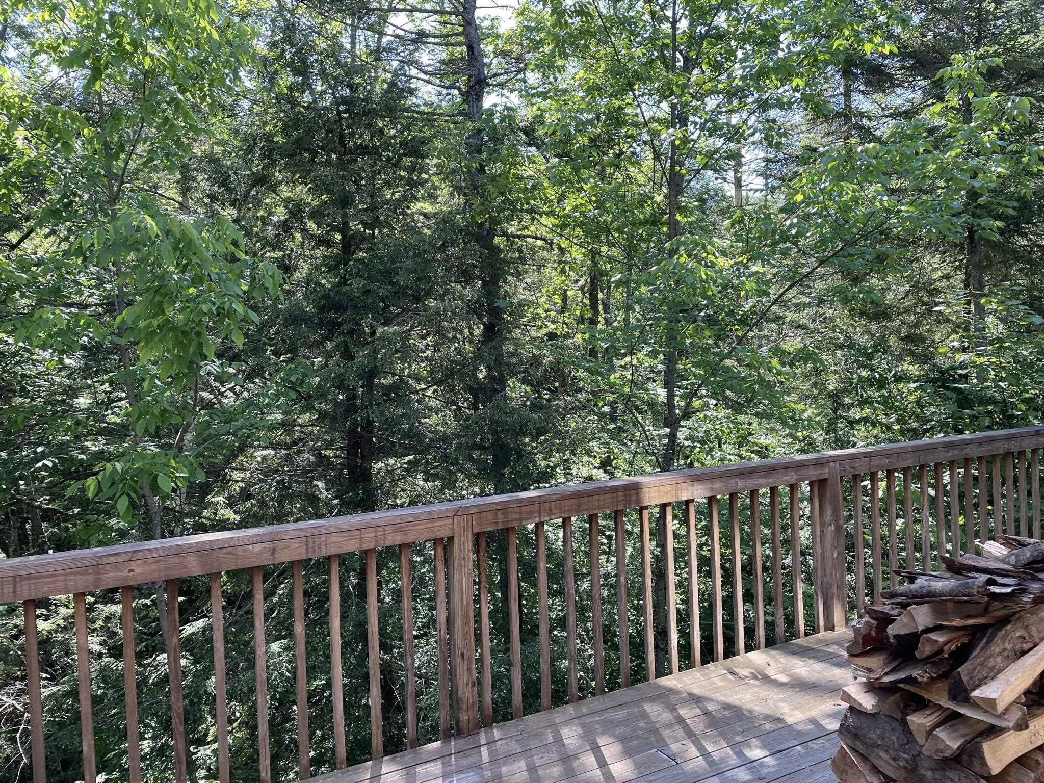 191 Forest Mountain Road Peru, VT 05152 - Photo 2 of 18