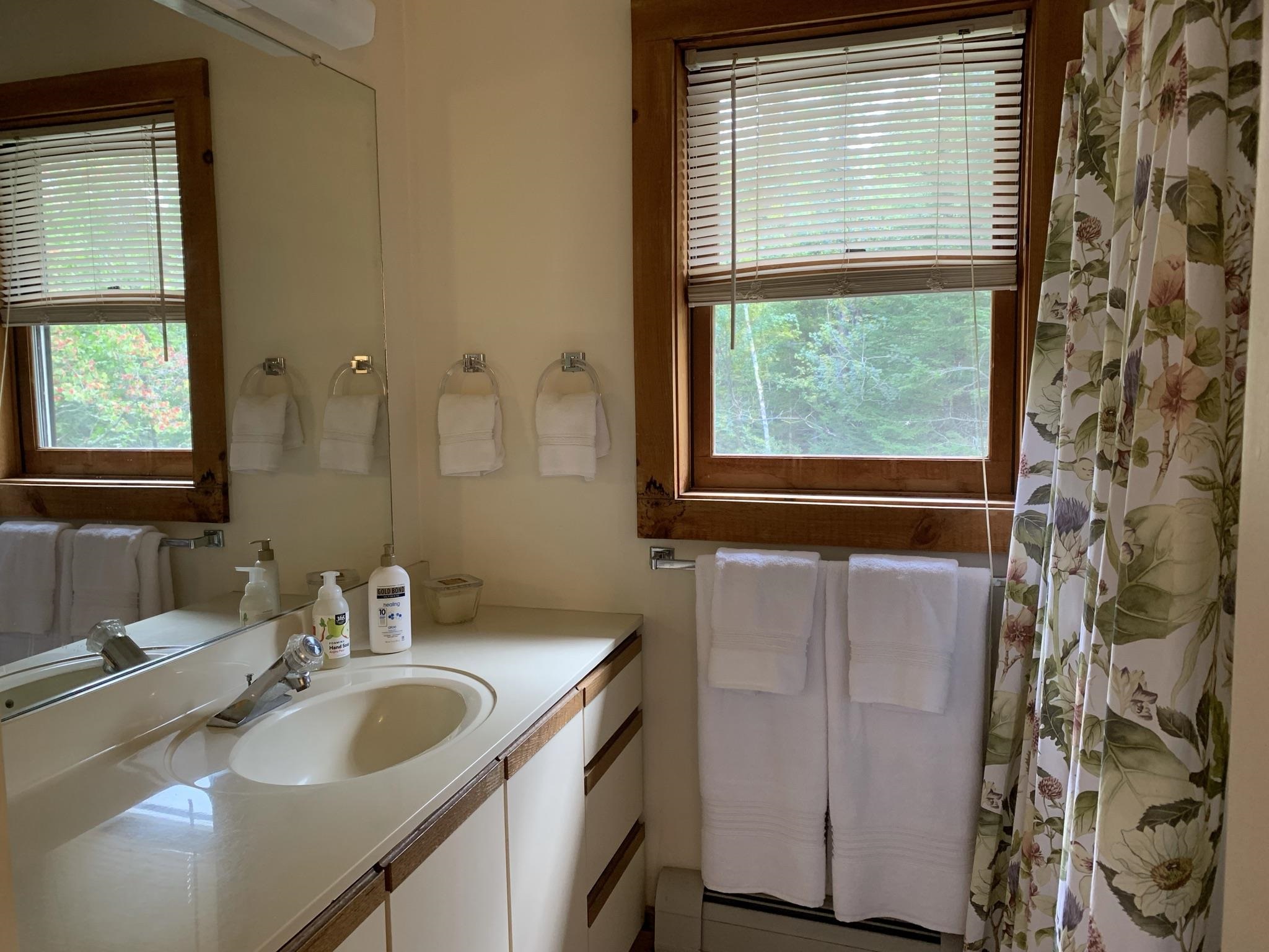 191 Forest Mountain Road Peru, VT 05152 - Photo 4 of 18