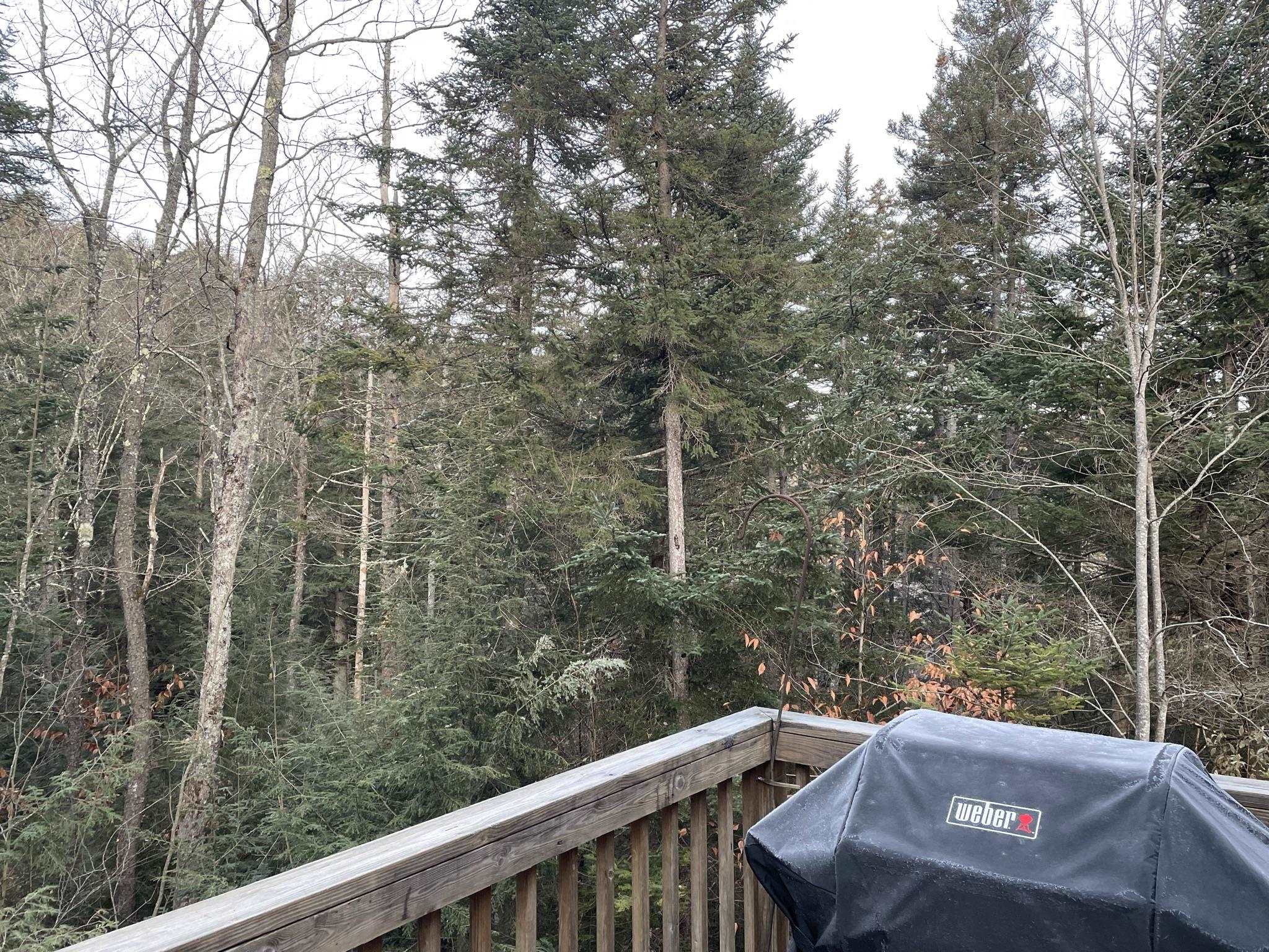 191 Forest Mountain Road Peru, VT 05152 - Photo 9 of 18